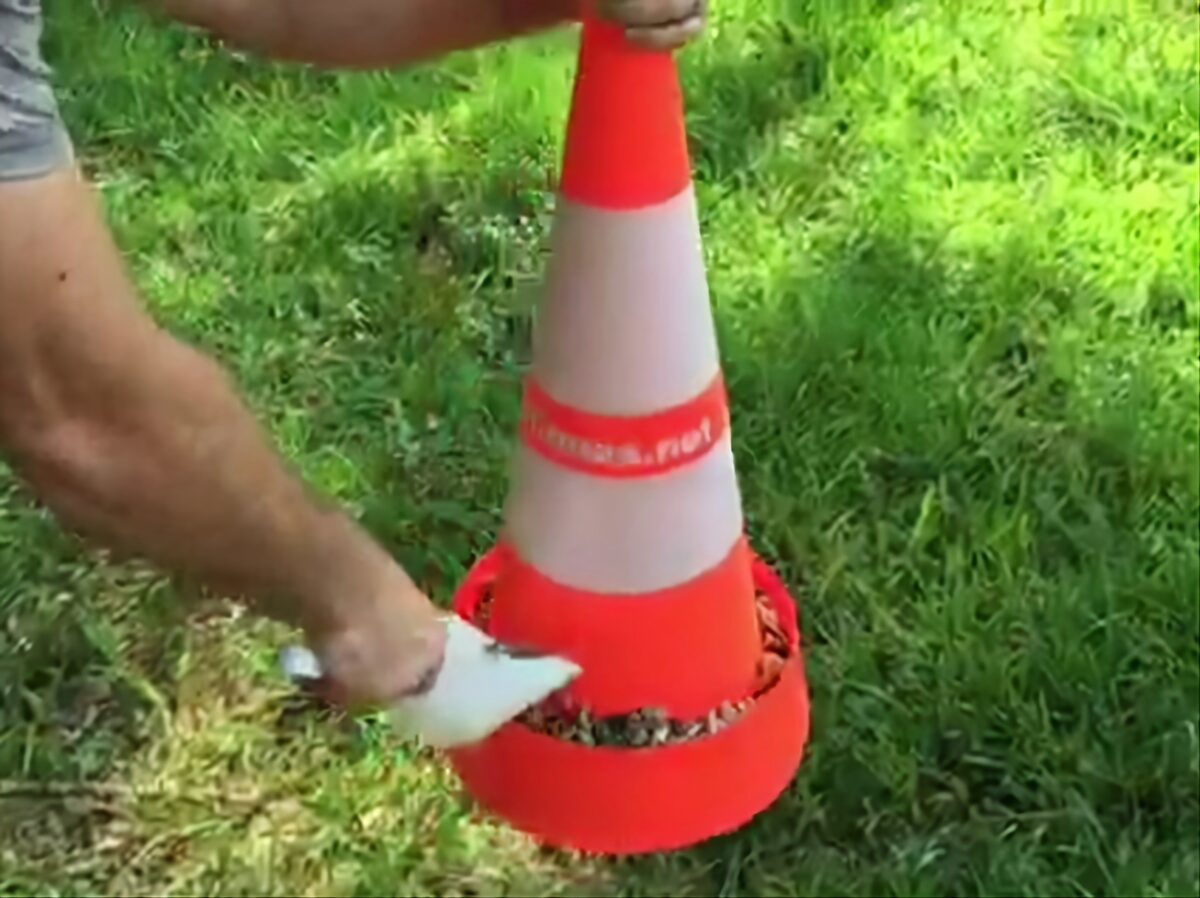 Disposable Traffic Cone – 28-Inch $6.49